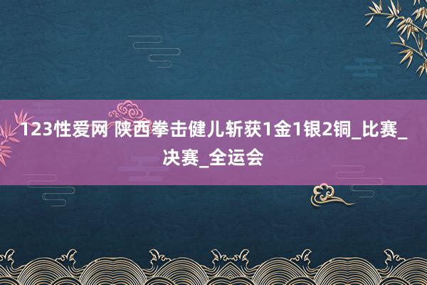 123性爱网 陕西拳击健儿斩获1金1银2铜_比赛_决赛_全运会