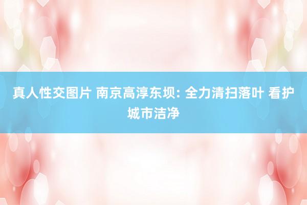 真人性交图片 南京高淳东坝: 全力清扫落叶 看护城市洁净