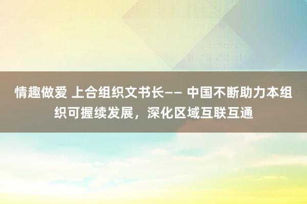 情趣做爱 上合组织文书长—— 中国不断助力本组织可握续发展，深化区域互联互通