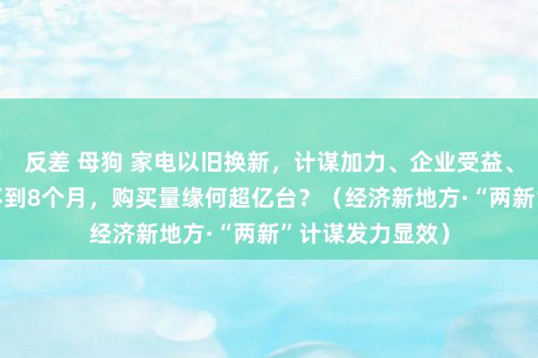 反差 母狗 家电以旧换新，计谋加力、企业受益、破钞者得实惠 不到8个月，购买量缘何超亿台？（经济新地方·“两新”计谋发力显效）