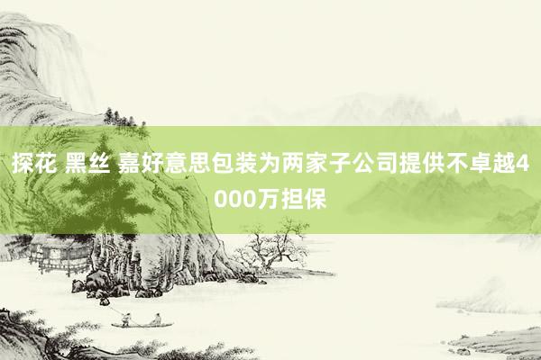 探花 黑丝 嘉好意思包装为两家子公司提供不卓越4000万担保