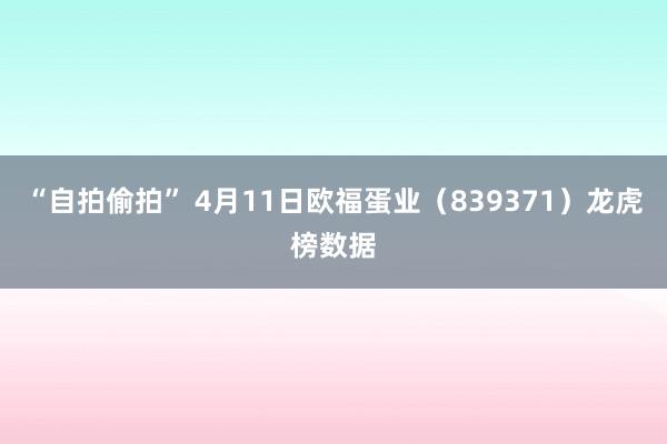 “自拍偷拍” 4月11日欧福蛋业（839371）龙虎榜数据
