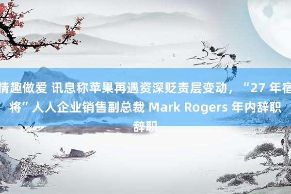 情趣做爱 讯息称苹果再遇资深贬责层变动，“27 年宿将”人人企业销售副总裁 Mark Rogers 年内辞职