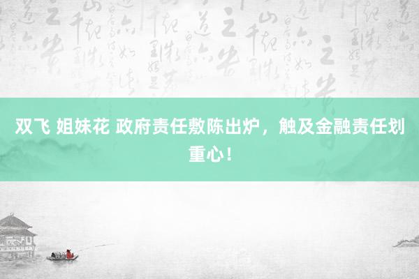 双飞 姐妹花 政府责任敷陈出炉，触及金融责任划重心！