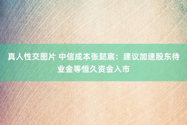 真人性交图片 中信成本张懿宸：建议加速股东待业金等恒久资金入市