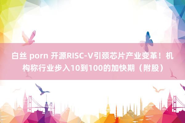 白丝 porn 开源RISC-V引颈芯片产业变革！机构称行业步入10到100的加快期（附股）