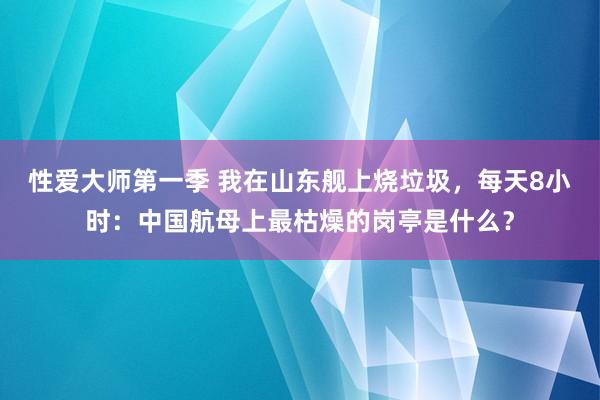 性爱大师第一季 我在山东舰上烧垃圾，每天8小时：中国航母上最枯燥的岗亭是什么？