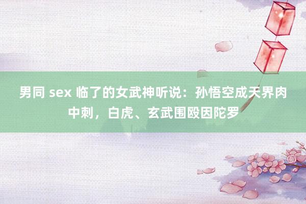 男同 sex 临了的女武神听说：孙悟空成天界肉中刺，白虎、玄武围殴因陀罗