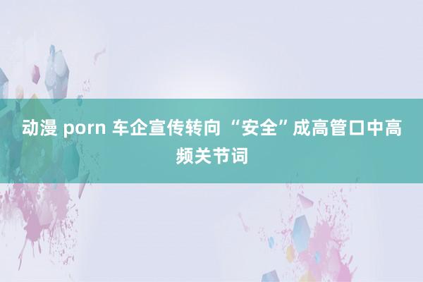 动漫 porn 车企宣传转向 “安全”成高管口中高频关节词