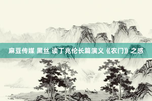 麻豆传媒 黑丝 读丁兆伦长篇演义《农门》之感