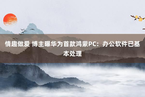 情趣做爱 博主曝华为首款鸿蒙PC：办公软件已基本处理