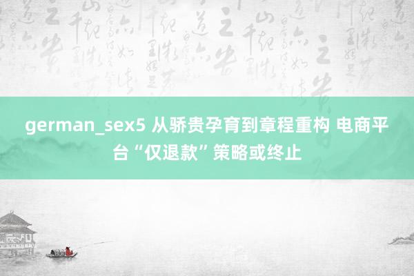 german_sex5 从骄贵孕育到章程重构 电商平台“仅退款”策略或终止